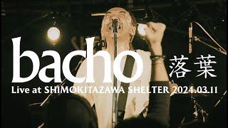 bacho - 落葉 【 Live at 東京・下北沢SHELTER 2024.03.11 / 1MAN 2DAYS "出航" 】