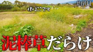 【ビフォーアフター】硬い雑草に凸凹の地面…今年最後の廃墟の草刈りで庭を綺麗にする! #601