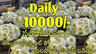 తక్కువ ఇన్వెస్ట్మెంట్ తో బెస్ట్ బిజినెస్ ఐడియా  SMALL BUSINESS IDEAS IN TELUGU