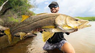 Catching Backcountry GIANTS On Topwaters! (Florida Snook Fishing)