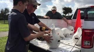 Purple Martin Conservation