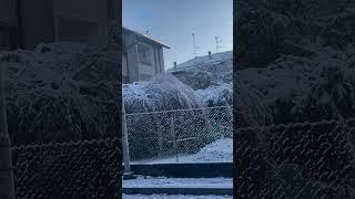 Neve da tutta parte