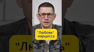 Как любит нарцисс