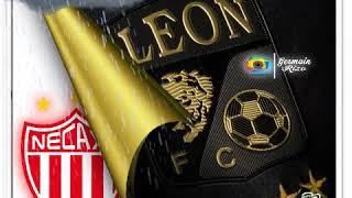 Necaxa Vs León