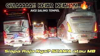 AKSI BUS KEJAR TAYANG BOS !! Saling Tempel 4 Bus Dengan Kecepatan Tinggi !! AGAR SEWA SAMPAI PAGI