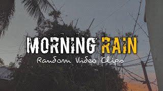 Morning Rain || Random Clips || Videography by Rakib.