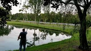 Pond fishing in springhill florida