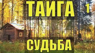 ЗАБРОШЕННАЯ ИЗБА ЛЕСНИКА ОТШЕЛЬНИК ХОЗЯИН в ТАЙГЕ СУДЬБА ИСТОРИИ из ЖИЗНИ в ЛЕСУ в ДЕРЕВНЕ РАССКАЗ 1