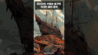 노아의 방주로 불리는 미스터리한 나무화석