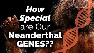 CARTA: Examining the Uniqueness of Our Neanderthal Genes