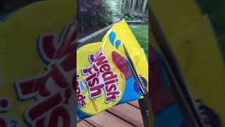 New Swedish Fish and Friends Candy! #shorts #candy #asmr