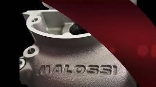 Malossi PX200 + PX125/150 Crankcases