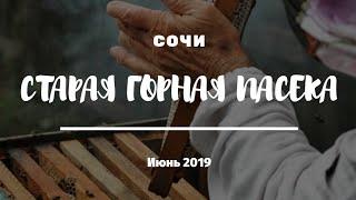 Июнь 2019// Старая горная пасека // Готовимся к первой качке меда