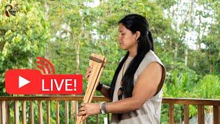 Native Flutes in Live from Nature