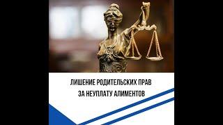 Лишение родительских прав. Моя практика