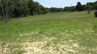 Homes for Sale - Mahlon Price Rd 0404, Chance, MD