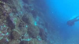 Dive master gets swept away in Galapagos current on shark dive!