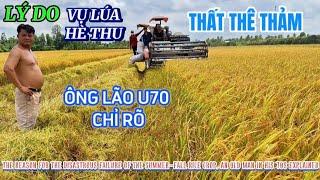 LÝ DO VỤ HÈ THU LÚA THẤT THÊ THẢM BÁC NÔNG DÂN U70 CHỈ RÕ| FAILURE OF RICE, FAR | Giải Trí Miền Tây