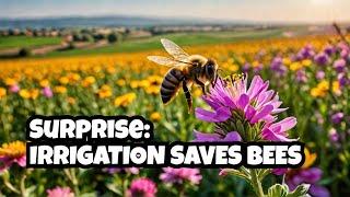 How Irrigation is Saving Our Bees