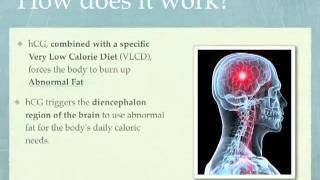 HCG Diet Explained - Dr. Simeons Pounds and Inches