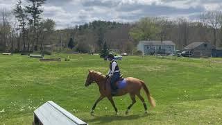 Making Waves & Tracey Woods | Horse Power Farm | May 2024 | Pre-Elementary & Elementary