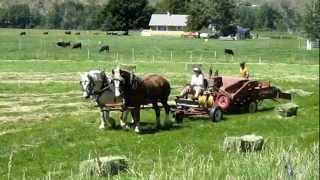 Baling Hay with Horses