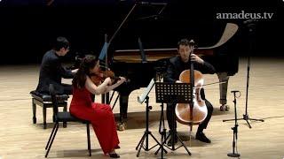 Amatis Trio - Beethoven-Piano Trio in E-flat Major, Op. 1, No.1