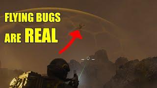 Flying Bugs In Helldivers 2? (Not really...)