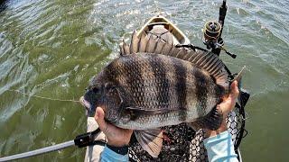 Sheepshead Fishing : Techniques For Success