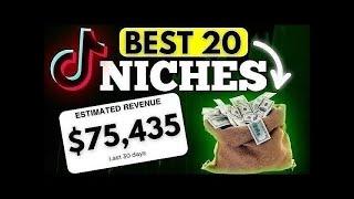 Top 20 TikTok Niches in 2025 to Make Money Online