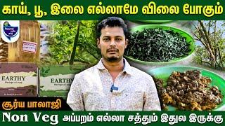 முருங்கை எனும் miracle மரம் - | Murungai Vivasayam | Drumstick cultivation in Tamil #moringa #farmer