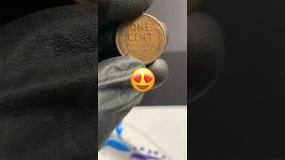 Quick 10-Roll Penny Hunt! #coincollecting #coin #coins #coinhunting #money