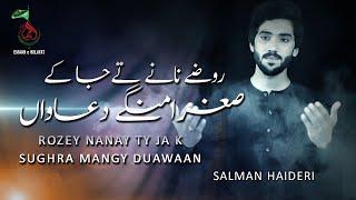 Rozey Nanay Ty Ja Ky Sughra Mangy Duawaan By Salman Haideri|| New Noha 201|| Noha Bibi Sughra S.A