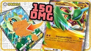 Gallade One Hit KOs A TON Of The Meta | Pokemon TCG Pocket