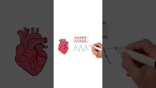 Blood Pressure EXPLAINED #healthsketch #shorts