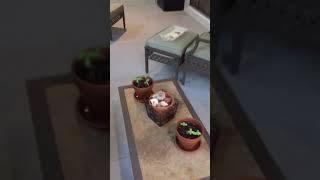 Home for Rent