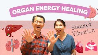 Heal Your 5 Organs With Sound And Vibration