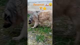 Врачам не доверяют! 