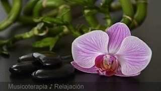 EL MEJOR SONIDO DEL AQUA Para Dormir Profundamente  Terapia Contra el Estrés Insomnio Tinnitus
