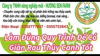 Làm Đúng Quy Trình || Để có giàn rau thủy canh tốt