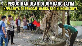 sudah masuk tv.!kondisi terbaru pesugihan ular di jombang yang lagi viral saat ini