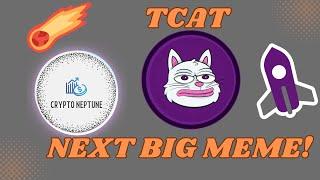 TCAT NEXT BIG MEME!