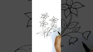 How to draw Jasmine Flower 