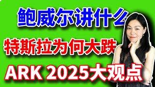 美股：特斯拉为什么大跌，鲍威尔国会证词说什么，ARK年度大观点来了。【2025-02-11】