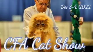 CFA Cat Show: see beautiful show cats and many cat breeds!