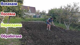 Вспахали огород/посеяла горчицу/Глобальная пересадка всех комнатных цветов/ Из Деревни В Станицу