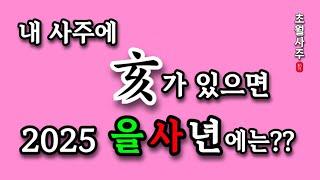 [2025년 운세] 내 사주에 해(亥)가 있으면, 2025 을사년에는??