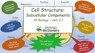 Cell Structure: Subcellular Components | AP Biology 2.1