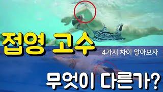 접영 고수들은 이것? 4가지가 특별하다!