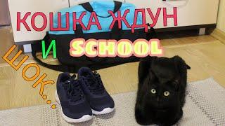 ВЫГОНЯТ из ШКОЛЫ/Uni Ксю/КОШКА ЖДУН в шоке